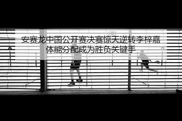 an-sai-long-zhong-guo-gong-kai-sai-jue-sai-jing-tian-ni-zhuan-li-zi-jia-ti-neng-fen-pei-cheng-wei-sheng-fu-guan-jian-2-604.jpg