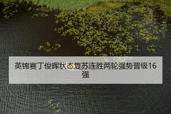英锦赛丁俊晖状态复苏连胜两轮强势晋级16强